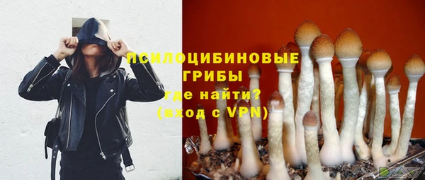стафф Белокуриха