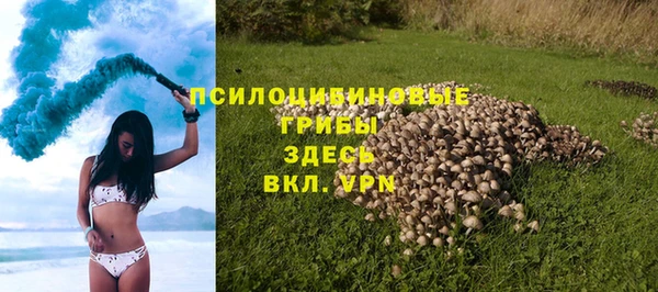 стафф Белокуриха