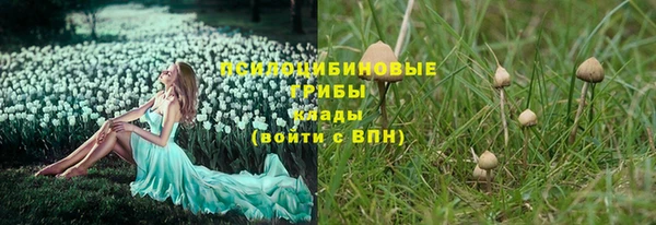 дурь Белоозёрский