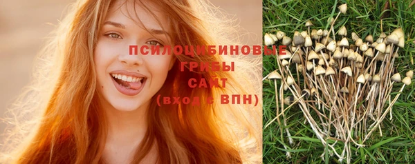 дурь Белоозёрский