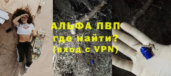 стафф Белокуриха