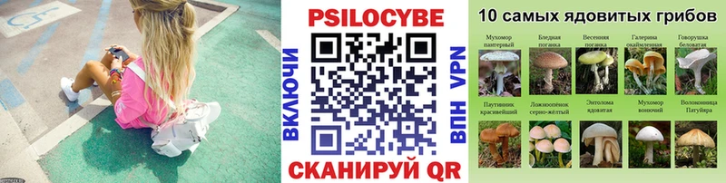Псилоцибиновые грибы Magic Shrooms  Высоцк 