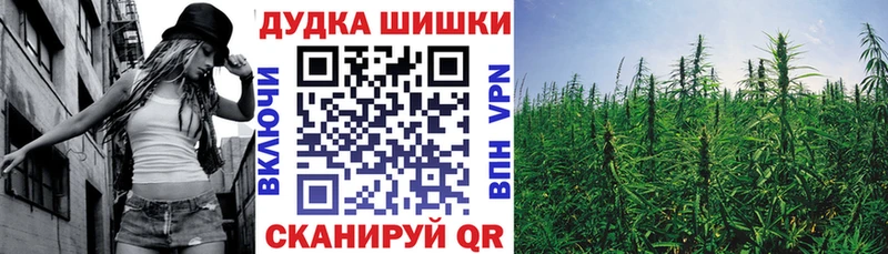 Бошки марихуана ГИДРОПОН Высоцк